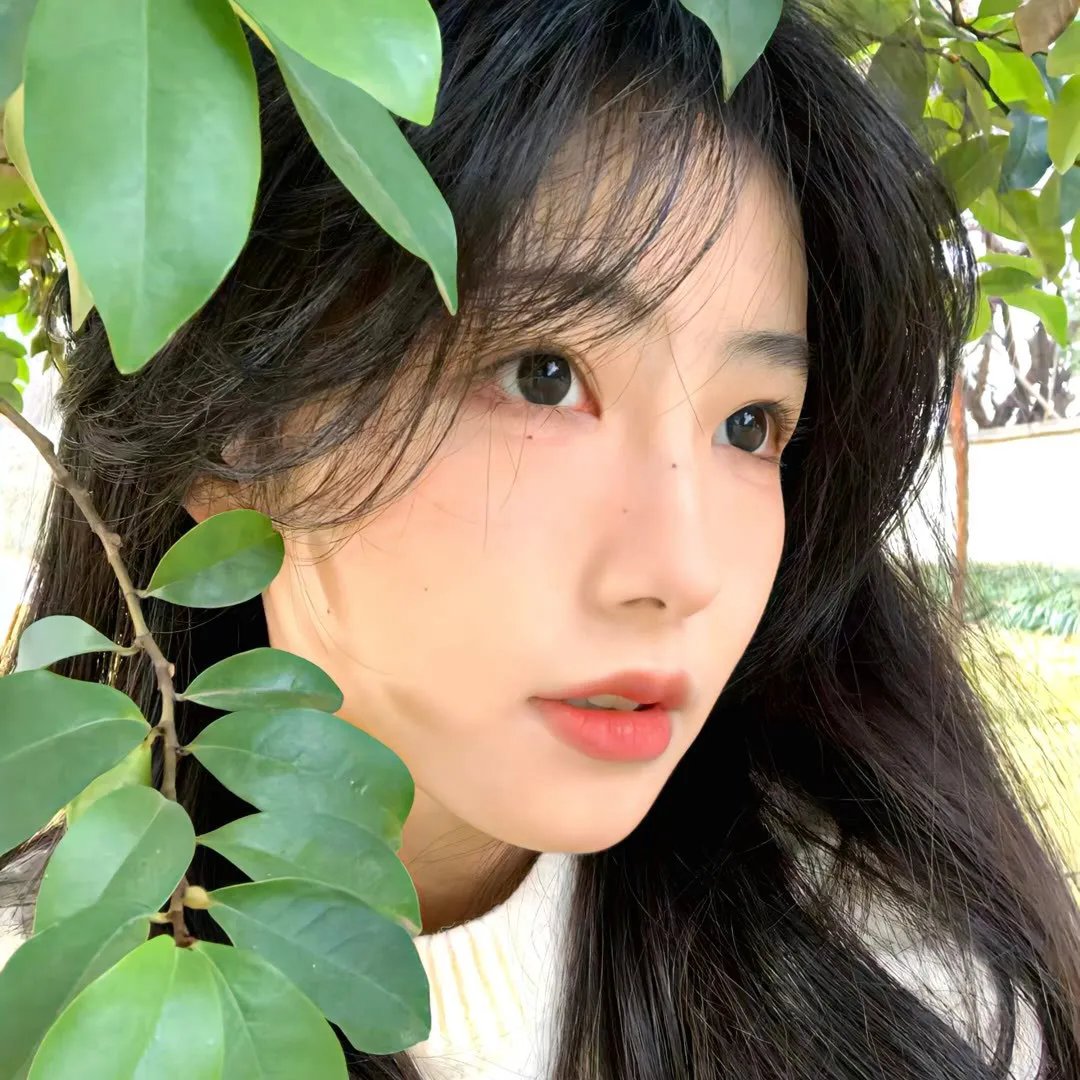 从零开始的造反生活